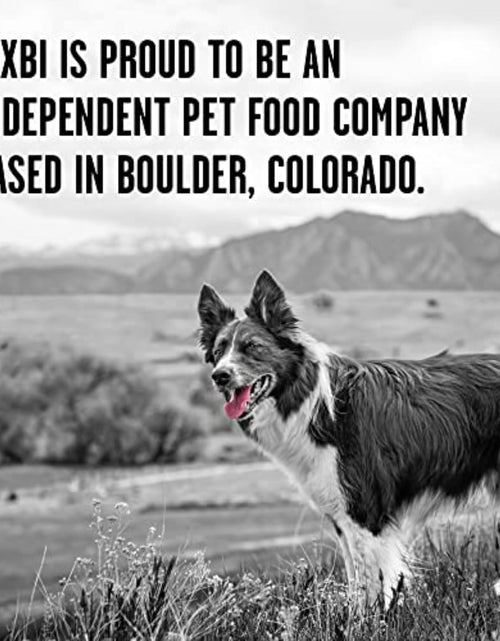 Load image into Gallery viewer, Rawbble Freeze Dried Dog Food | 7 Flavor Options | 3 Size Options
